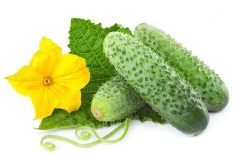 姜南吃瓜系统,揭秘娱乐圈幕后真相，带你领略明星们的真实生活