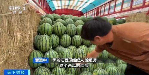 香织吃瓜,揭秘娱乐圈幕后真相