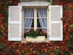 吃瓜窗户地点打卡,揭秘网红窗户背后的故事