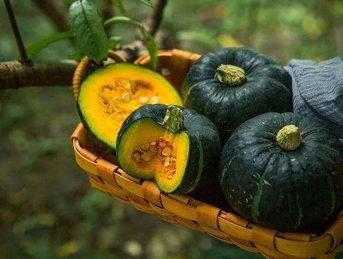 板栗兰瓜的吃,独特风味与营养的完美融合