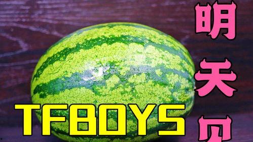 唱歌现场吃瓜,一场别开生面的音乐盛宴