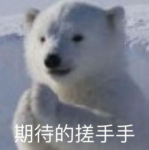 蛇哥吃瓜,揭秘娱乐圈幕后真相