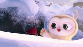 农场吃瓜搞笑视频,搞笑视频带你笑翻天