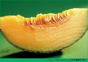 小产两天可以吃哈密瓜吗,产后两天适宜食用哈密瓜吗？