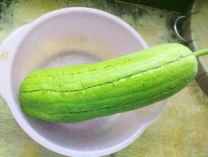 水瓜是什么瓜家人吃