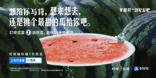 拍照吃瓜文案句子,揭秘拍照吃瓜的趣味瞬间