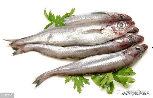 砍瓜与海鱼能一起吃吗,砍瓜与海鱼同食的适宜性分析