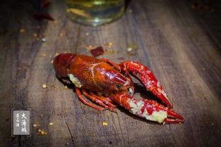 找一个龙虾吃瓜,探寻美食新体验